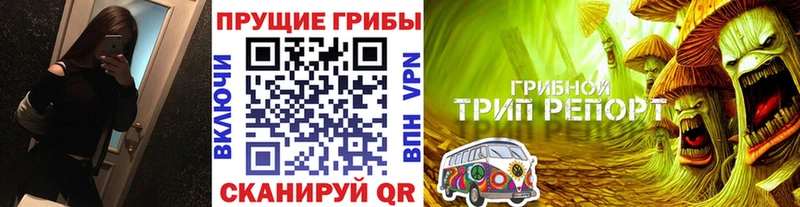 что такое   Терек  ссылка на мегу ТОР  Псилоцибиновые грибы MAGIC MUSHROOMS 